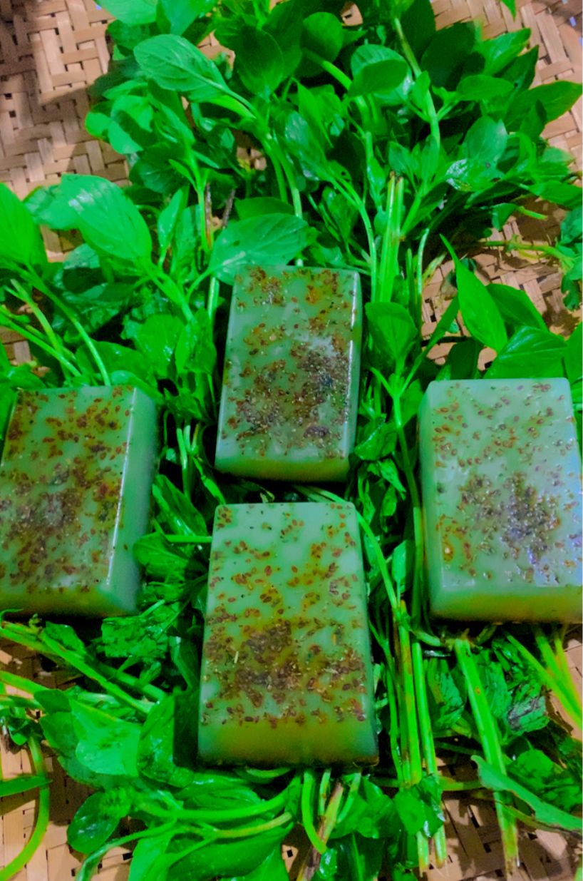 Produtos Naturais